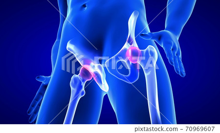 Hip Pain close-up illustration. Blue Human Anatomy Body 3D Scan render on blue background 70969607