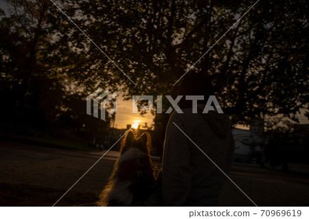 Snuggle up with your dog in the setting sun Snuggle up with your dog in the setting sun 70969619