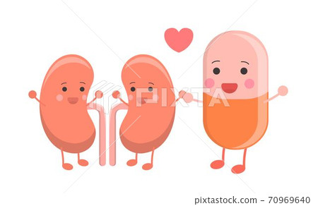 Healthy kidneys live peacefully with orange capsules, cartoon comic illustration icon 70969640