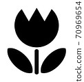 Tulip 70969654