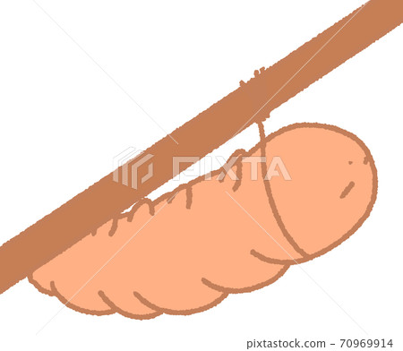 卡特彼勒(橙色)決心成為木 卡特彼勒(橙色)決心成為木 70969914