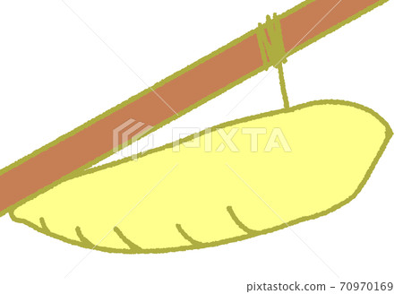 Chrysalis caterpillar (yellow) 70970169