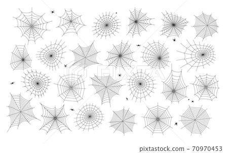 Spider web concept 70970453