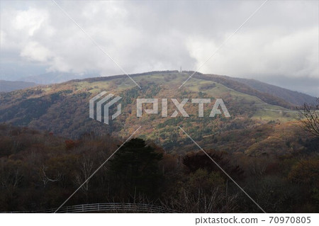 Yokone Plateau in Autumn (Autumn leaves of Mt. 70970805