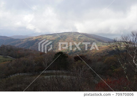 Yokone Plateau in Autumn (Autumn leaves of Mt. Yokone Plateau in Autumn (Autumn leaves of Mt. 70970806