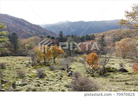 Autumn leaves in Yokone Kogen, Tochigi Prefecture Autumn leaves in Yokone Kogen, Tochigi Prefecture 70970828