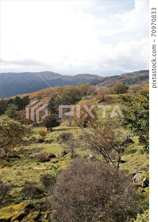 Autumn leaves in Yokone Kogen, Tochigi Prefecture Autumn leaves in Yokone Kogen, Tochigi Prefecture 70970833