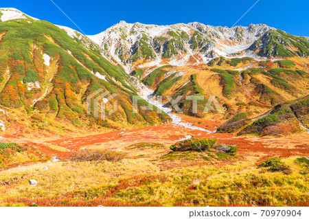 《Toyama Prefecture》 Murodo / Tateyama Kurobe Alpine Route during the peak of autumn colors 《Toyama Prefecture》 Murodo / Tateyama Kurobe Alpine Route during the peak of autumn colors 70970904