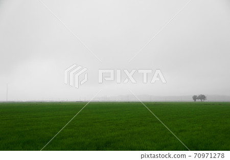 Wind-power generation  70971278