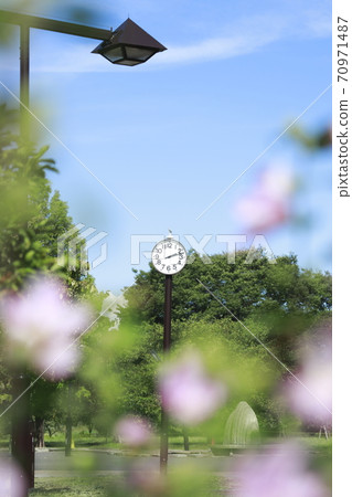 Clock of Tonerikoen, Tokyo Metropolitan Park 70971487