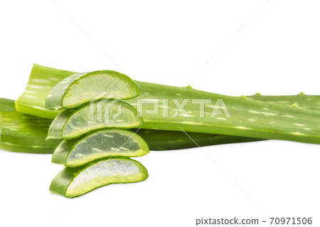 Aloe Vera sliced isolated on white background. 70971506