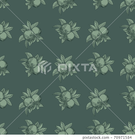 Apples seamless pattern on green background. Vintage botanical wallpaper. Apples seamless pattern on green background. Vintage botanical wallpaper. 70971584