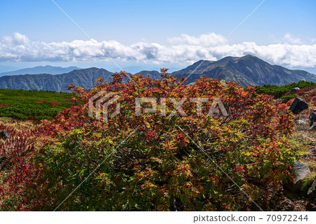Autumn leaves of Hakusan Autumn leaves of Hakusan 70972244