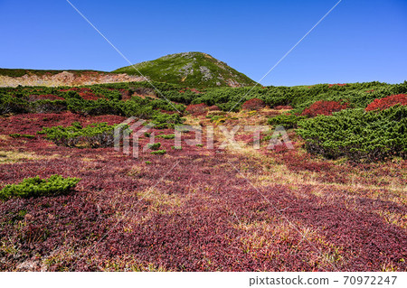 Autumn leaves of Hakusan 70972247