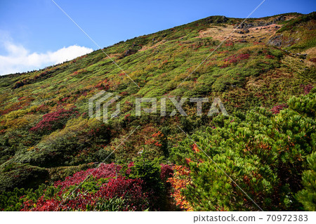 Autumn leaves of Hakusan Autumn leaves of Hakusan 70972383