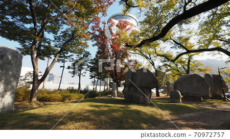Namsan in autumn Namsan in autumn 70972757