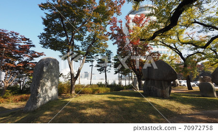 Namsan in autumn Namsan in autumn 70972758