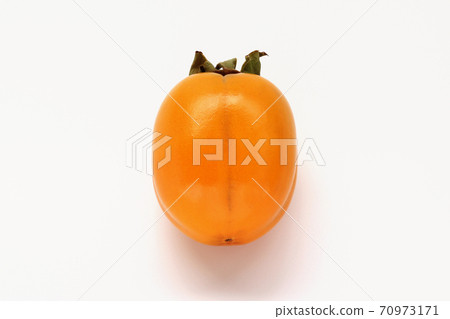 Saijo persimmon 70973171