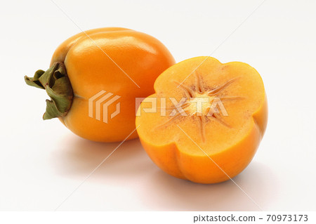 Saijo persimmon 70973173