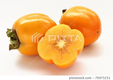 Saijo persimmon 70973252