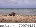 海 70974485