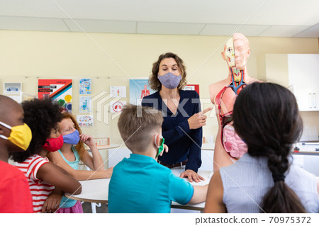 Female teacher wearing face mask using human anatomy model to teach students in class Female teacher wearing face mask using human anatomy model to teach students in class 70975372
