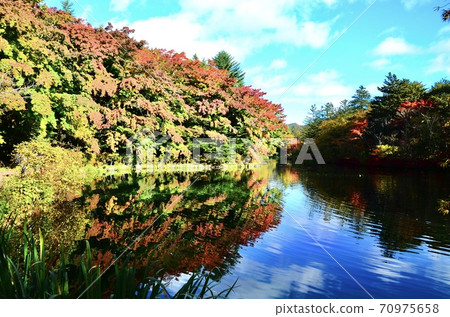 Kumonba Pond Kumonba Pond 70975658