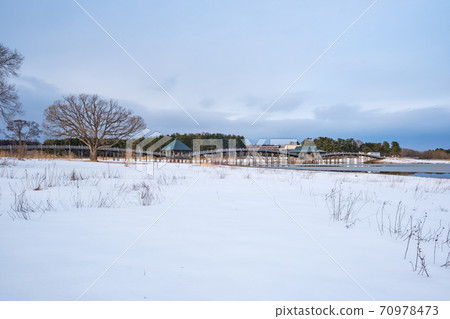 鶴之舞橋的冬日風景 鶴之舞橋的冬日風景 70978473