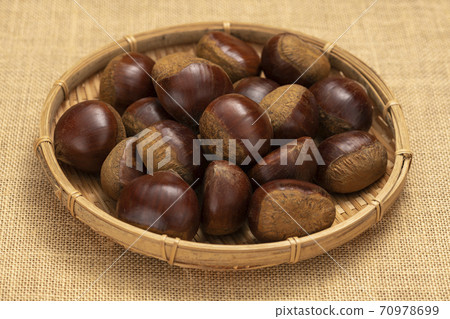 栗子[秋天的味道] 70978699