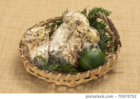 松茸[秋天的味道] 70978702