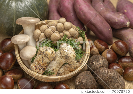 Mushrooms and autumn vegetables [Autumn taste] 70978730