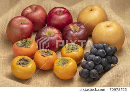 秋季水果[秋天的味道] 70978735