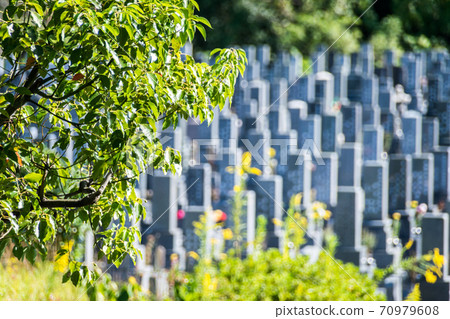 Reien lined with tombstones 70979608