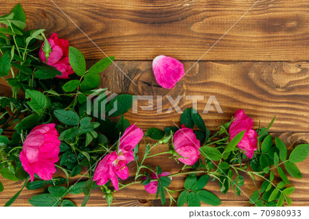 Pink flowers of dog rose on wooden background. Top view, copy space Pink flowers of dog rose on wooden background. Top view, copy space 70980933