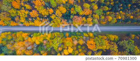 Aerial view of the road passing the forest with a car passing by 70981300