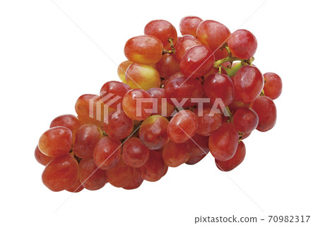 Grape_Kaiji_06（通過） 70982317