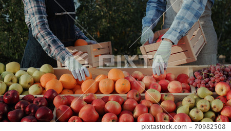 Merchants lay out fruit on the window of the farmers' fair Merchants lay out fruit on the window of the farmers' fair 70982508