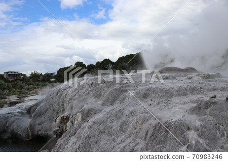 Landscape of Rotorua de Puia, New Zealand Landscape of Rotorua de Puia, New Zealand 70983246