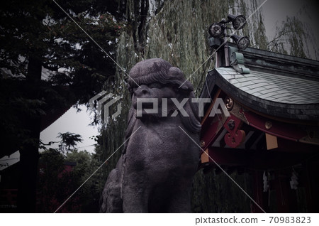 Guardian dog at Asakusa Shrine Guardian dog at Asakusa Shrine 70983823