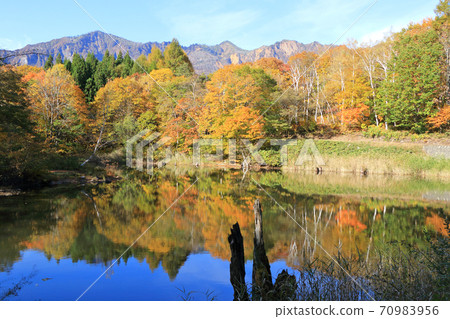 Autumn in Akiyamago Autumn in Akiyamago 70983956