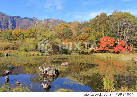 Autumn in Akiyamago Autumn in Akiyamago 70984044