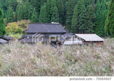 House buried in grass 70984807
