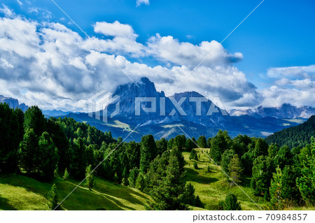 Amazing view on Seceda peak. Trentino Alto Adige, Dolomites Alps, South Tyrol, Italy, Europe. Odle mountain range, Val Gardena. Majestic Furchetta peak. Purple flowers in the morning sunlight. 70984857