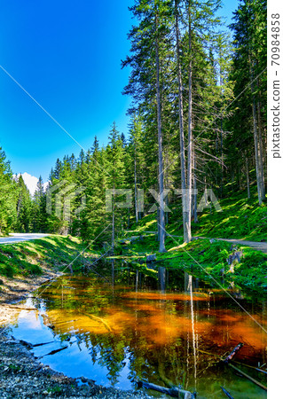 A small river in a forest in the Dolomites A small river in a forest in the Dolomites 70984858