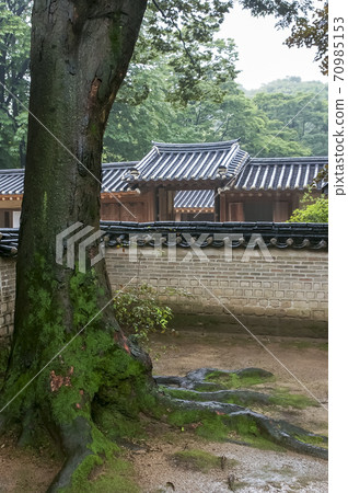 走在昌德宮 走在昌德宮 70985153