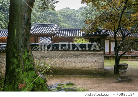 走在昌德宮 走在昌德宮 70985154