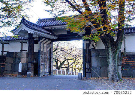 Imperial Palace Kitanomaru Koraimon / Tayasumon Entrance (Chiyoda-ku, Tokyo) Imperial Palace Kitanomaru Koraimon / Tayasumon Entrance (Chiyoda-ku, Tokyo) 70985232