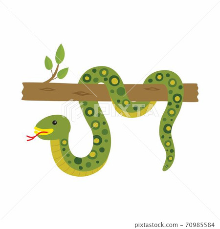 Anaconda on a tree. Vector illustration isolated. - Stock Illustration  [70985584] - PIXTA
