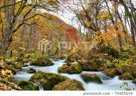 Autumn leaves scenery of Oirase Gorge in Aomori Prefecture Autumn leaves scenery of Oirase Gorge in Aomori Prefecture 70985656