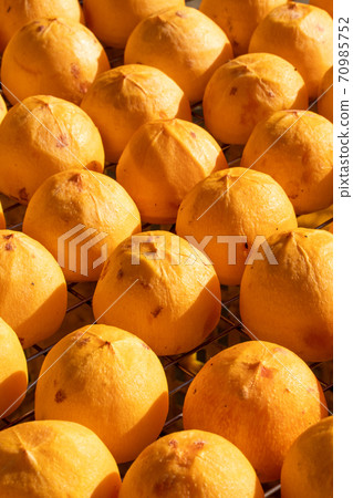 柿餅 製作 手作 曬柿餅 曝曬 日曬 陽光 making dried persimmon 干し柿 70985752